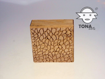 No.SL2 seamless plant cell structure